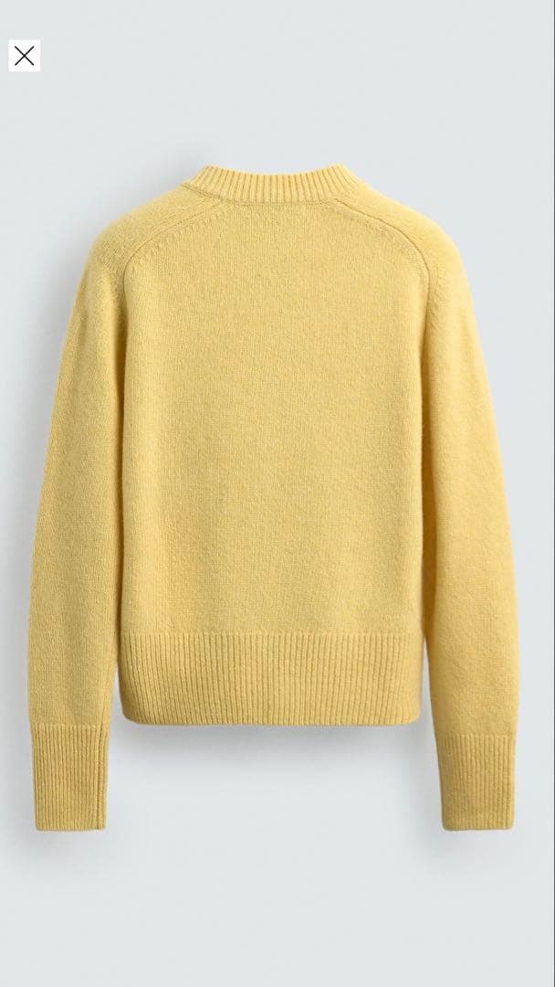 新品　プルート　HARRYLAMBERT ZARA×DISNEY XL