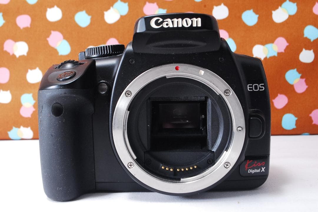 ✨元箱付き✨超豪華セット✨Canon Kiss Digital X レンズセット