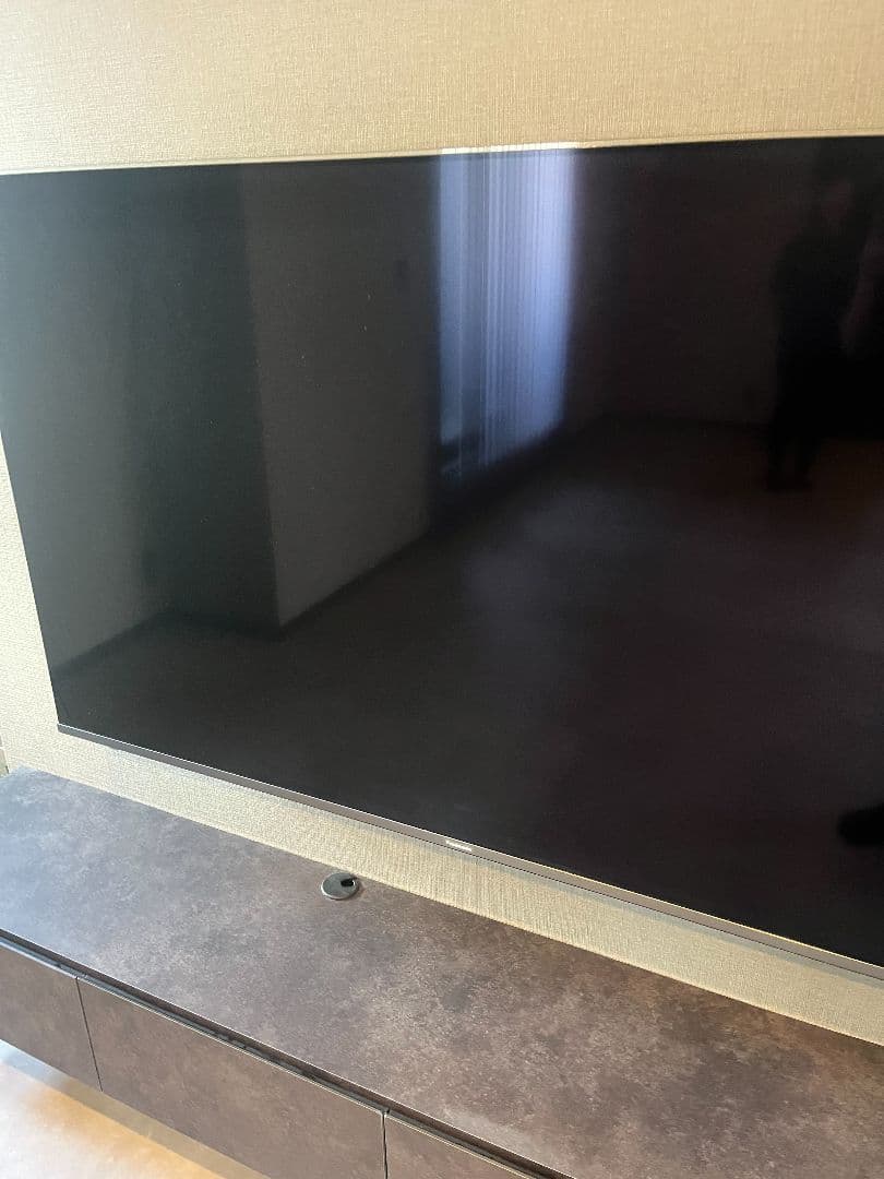 65インチ液晶4Kテレビ Panasonic TH-65FX800(2018年製