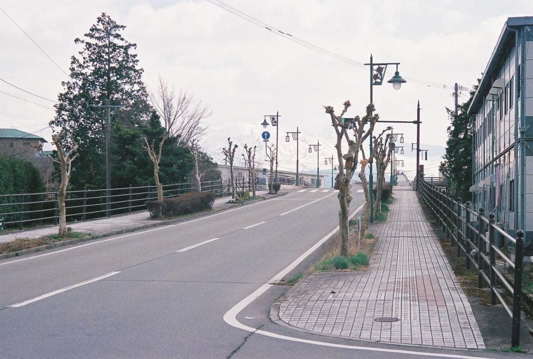 Nikon F65 フィルム一眼レフカメラ