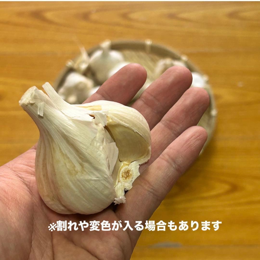 【お買い得セール】青森県 福地ホワイト にんにく M5kg 加工 家庭用