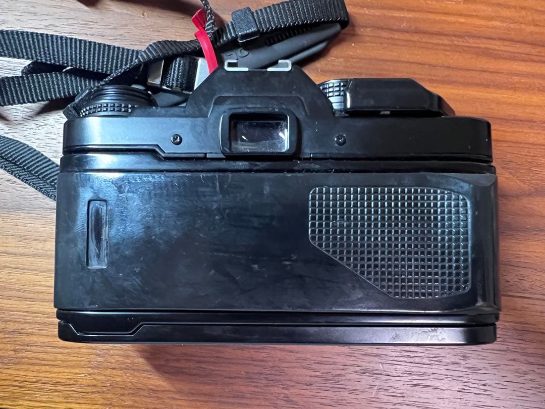 オリンパス OLYMPUS OM40 逆光強