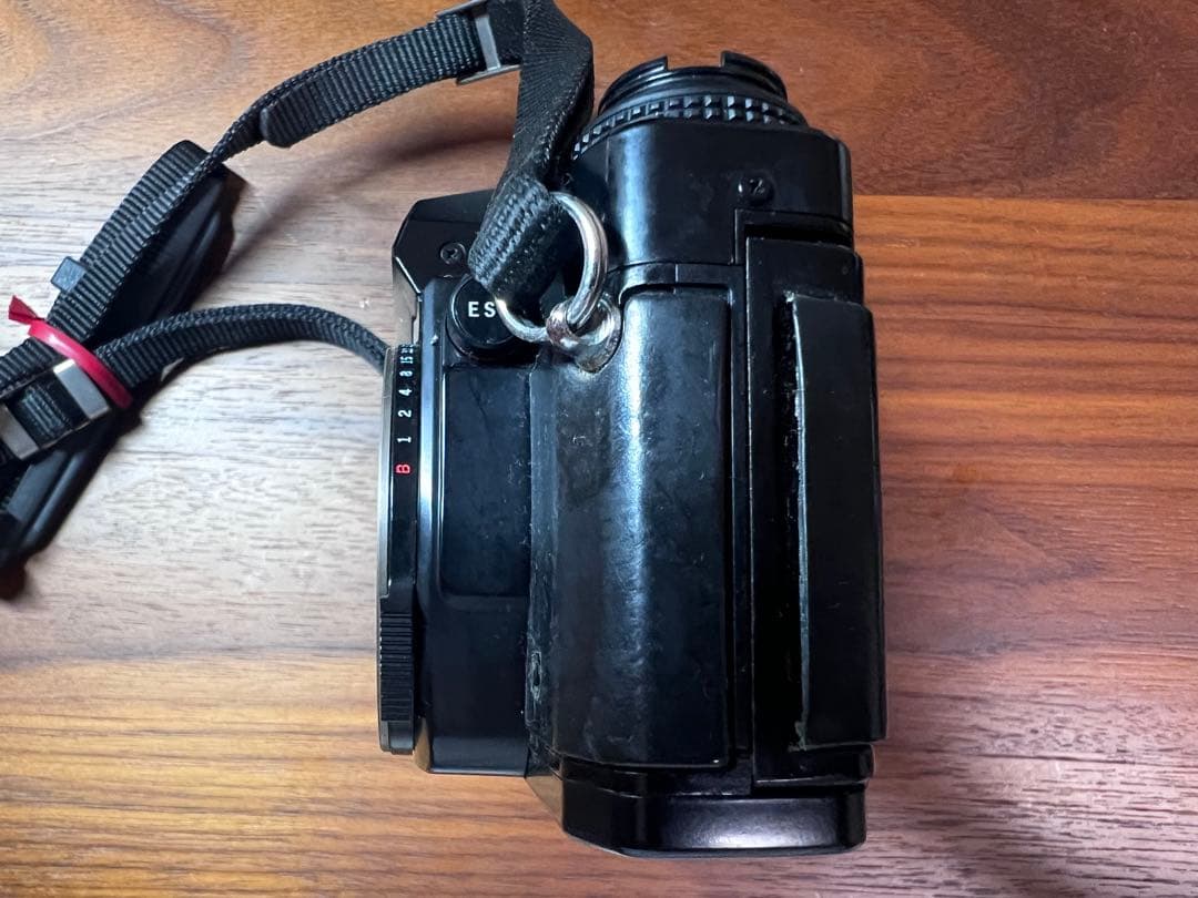 オリンパス OLYMPUS OM40 逆光強