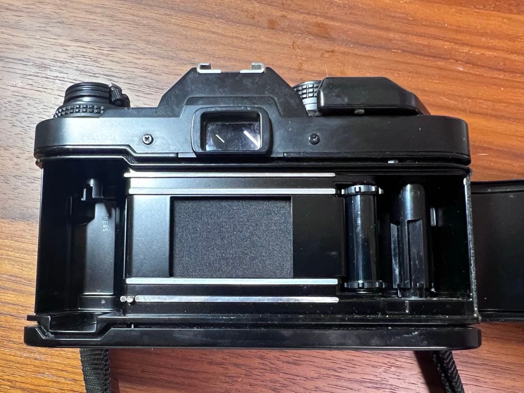 オリンパス OLYMPUS OM40 逆光強