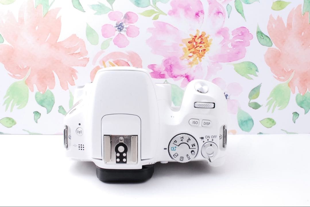 ✨Canon kiss X9✨美品 希少ホワイト スマホに転送 デジタル一眼レフ