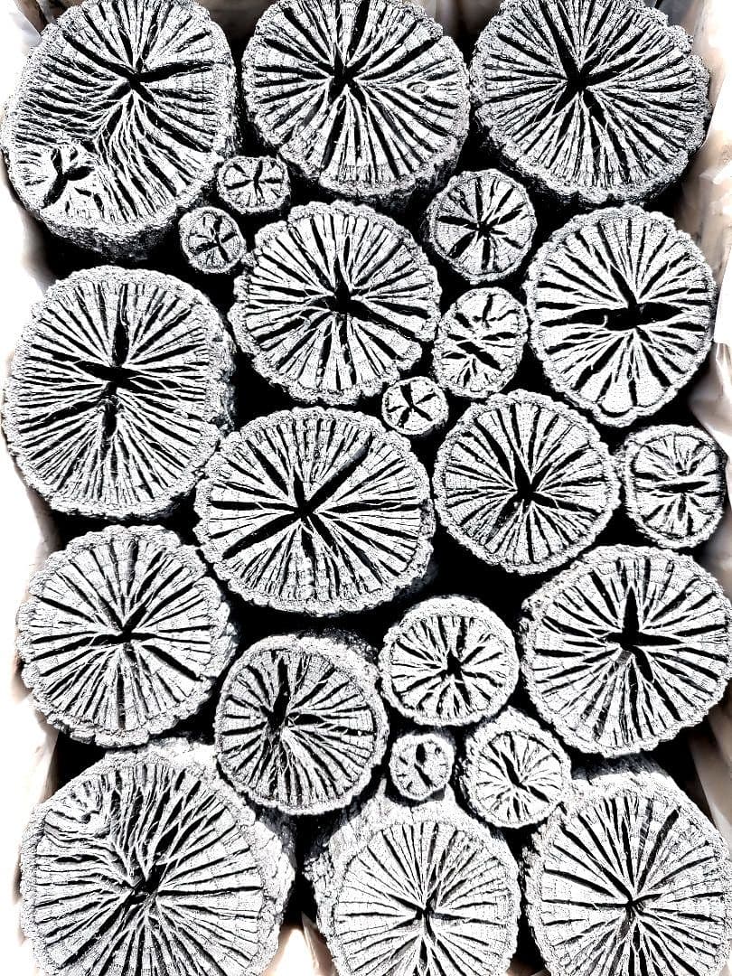 たーちん⑥【 伊予の切炭 】太め菊炭特選×2箱