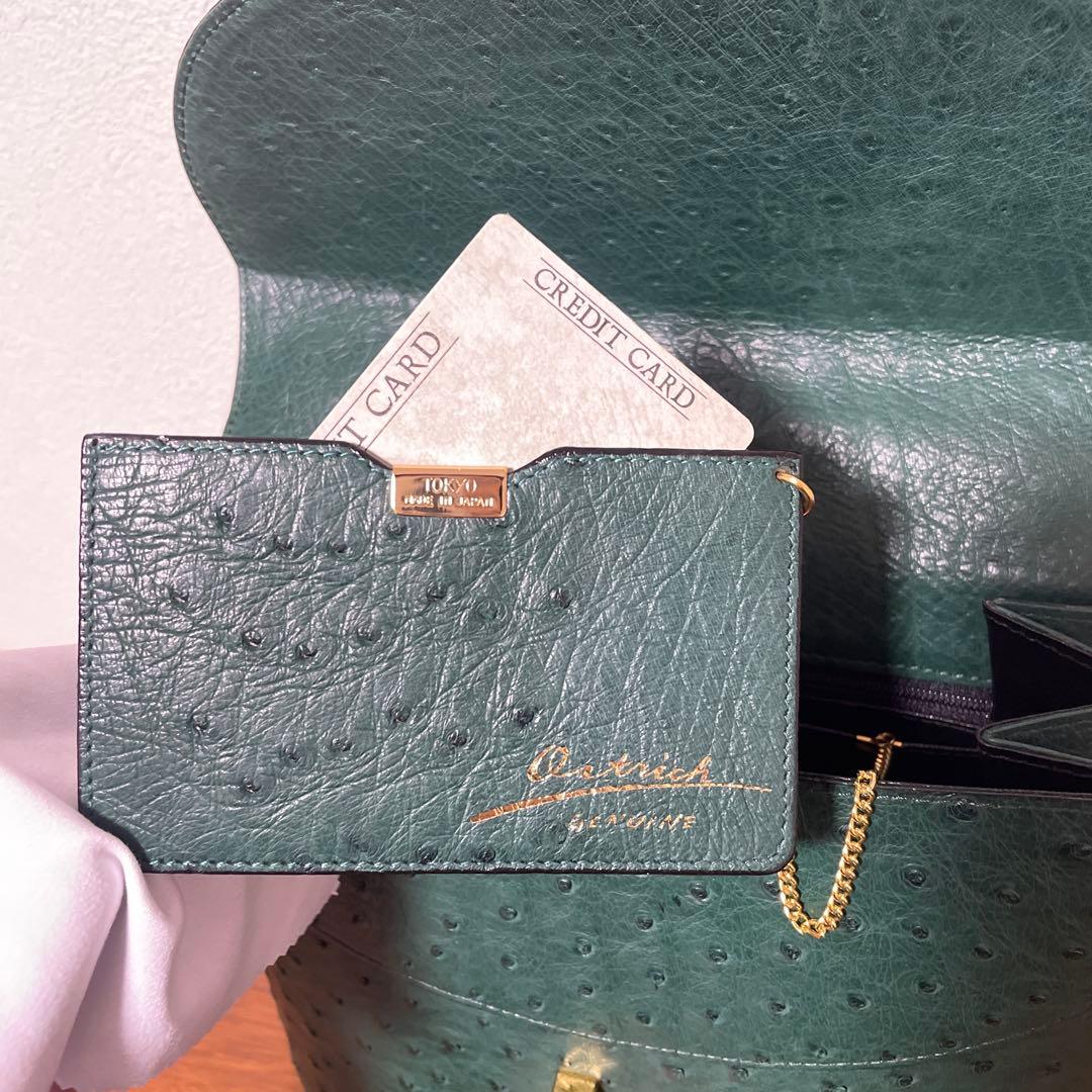 【未使用品定価60万円】ハンドバッグ　オーストリッチ　ダチョウ　本革