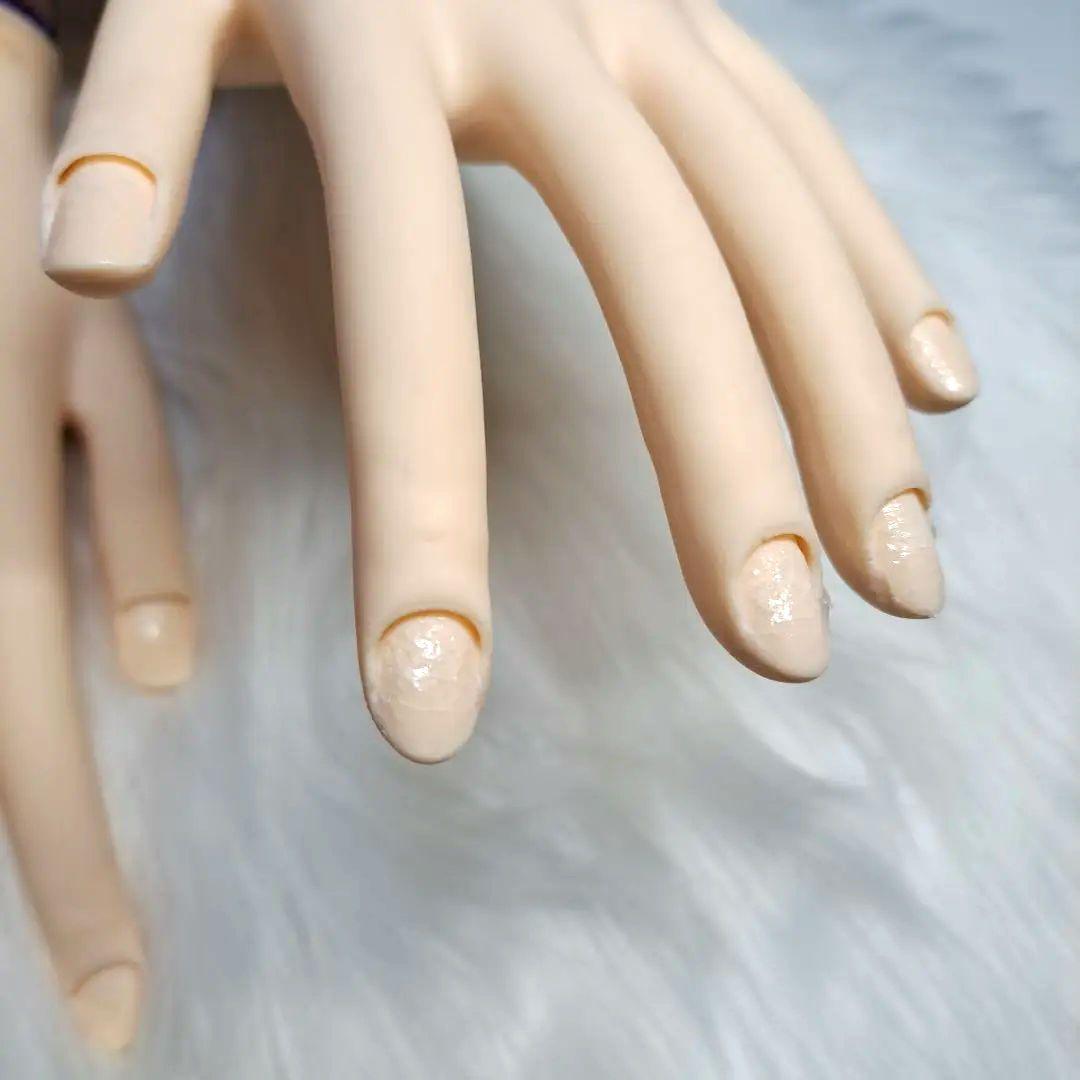 STモデルハンド JNEC認定 モデルハンド ネイリスト検定