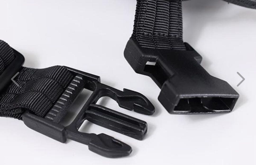 LONGCHAMP ボディバッグ