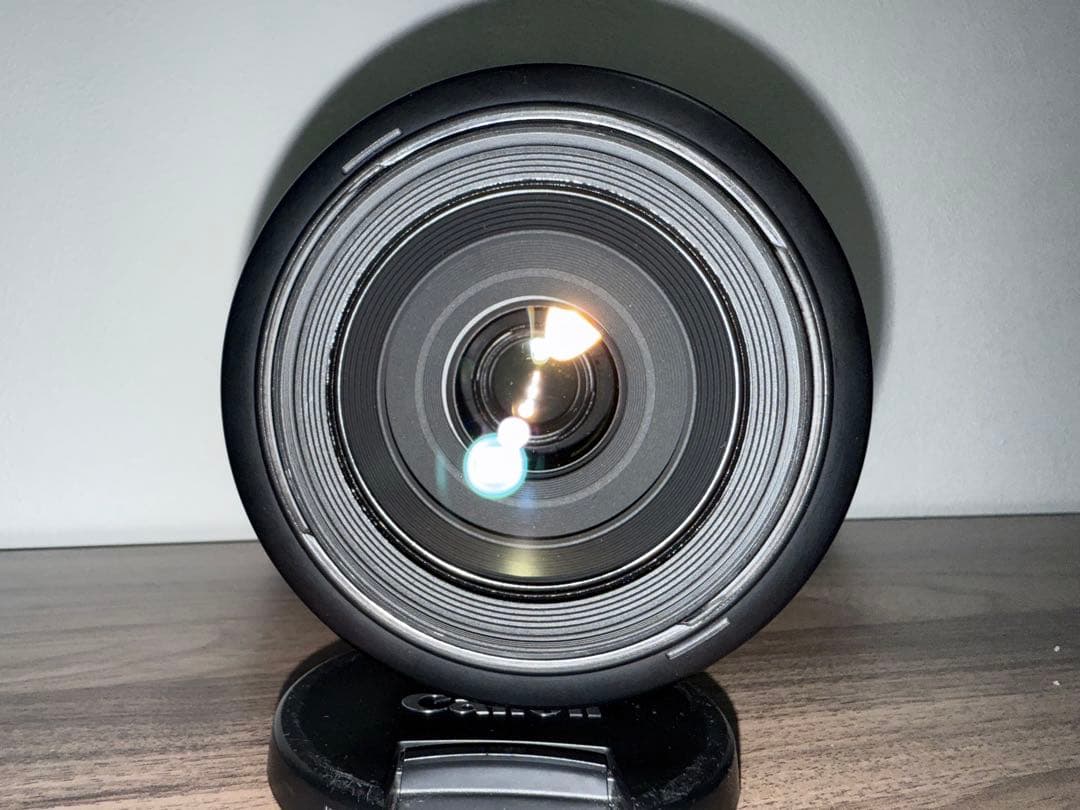 Canon EF100-400mm F4.5-5.6L IS(純正交換レンズ)