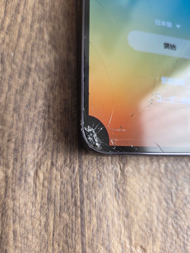 しーちゃんママν＾）