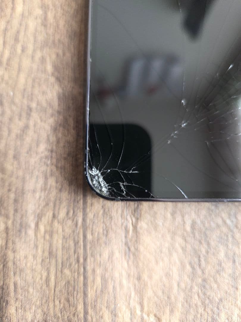 しーちゃんママν＾）