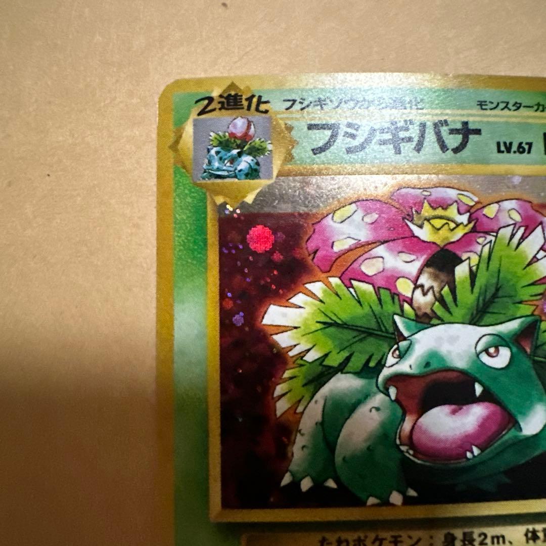 ポケモンカード 旧裏 フシギバナ カメックス イントロパック