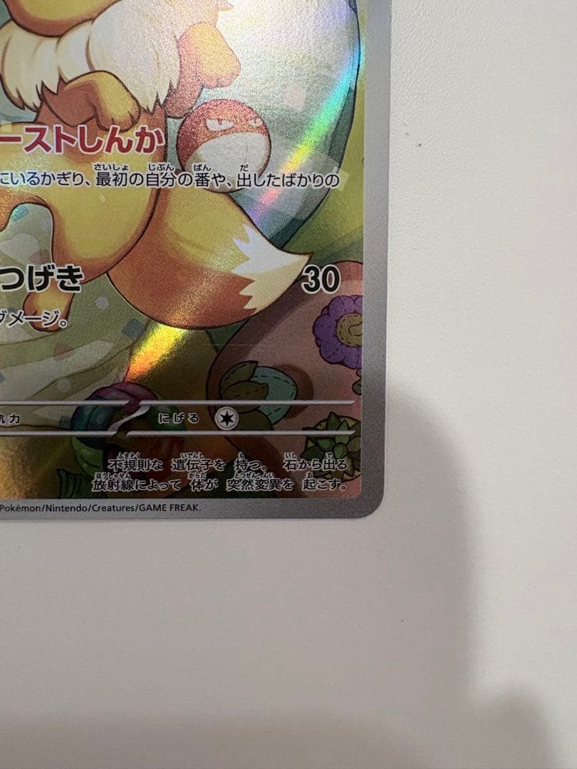 即日配送　イーブイ AR仕様 MC 755/742 スタートデッキ100