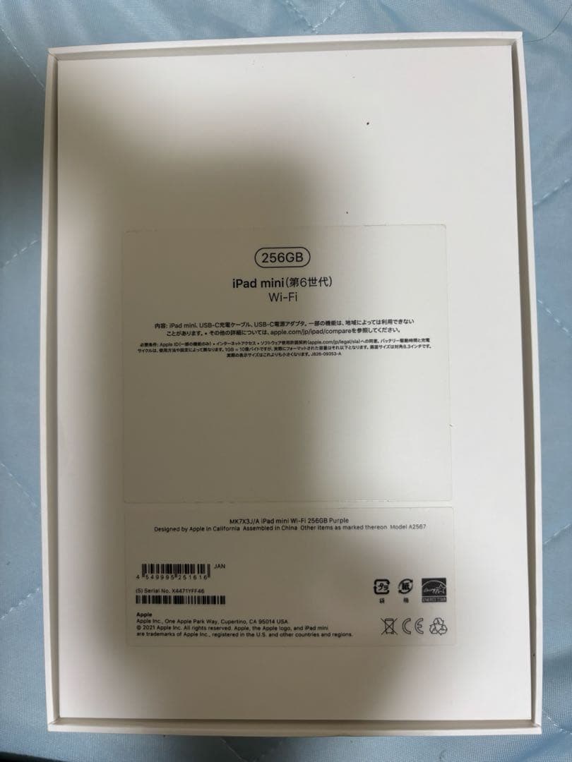 Apple iPad 第６世代　256g Wi-Fi