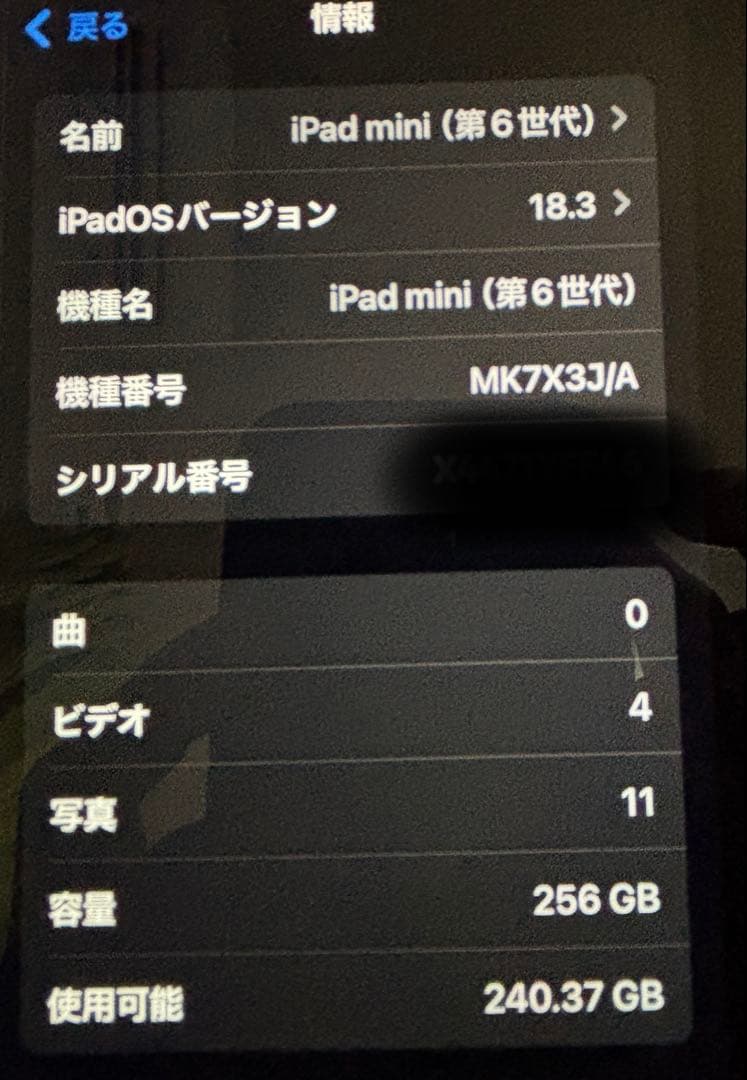 Apple iPad 第６世代　256g Wi-Fi