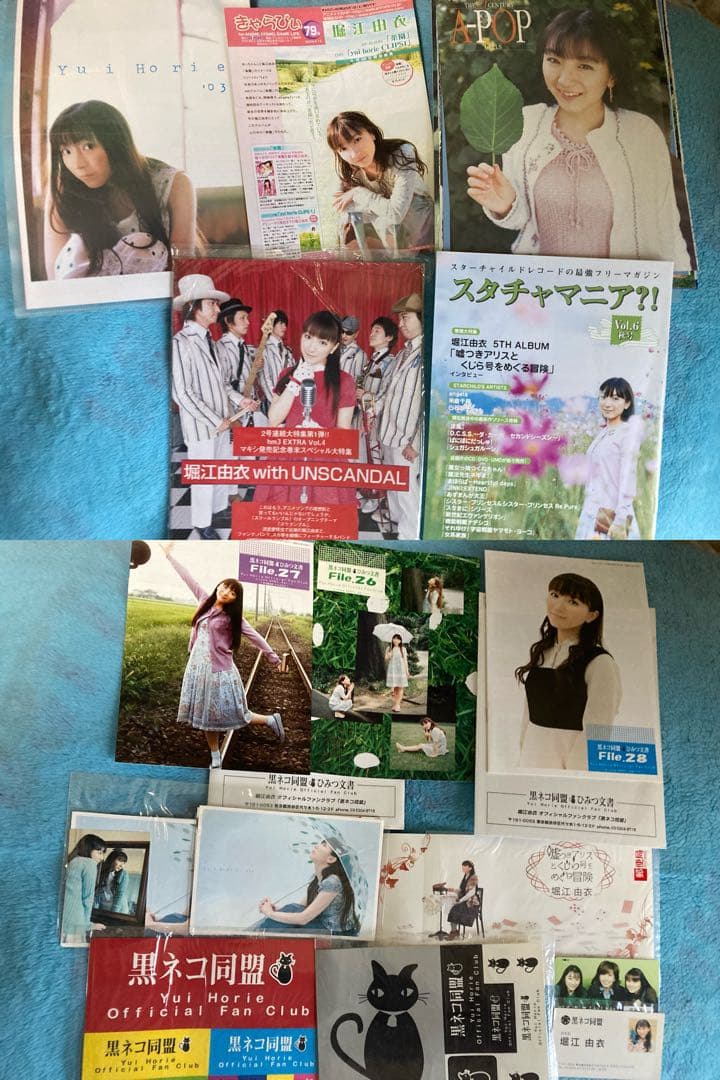 堀江由衣　グッズ各種