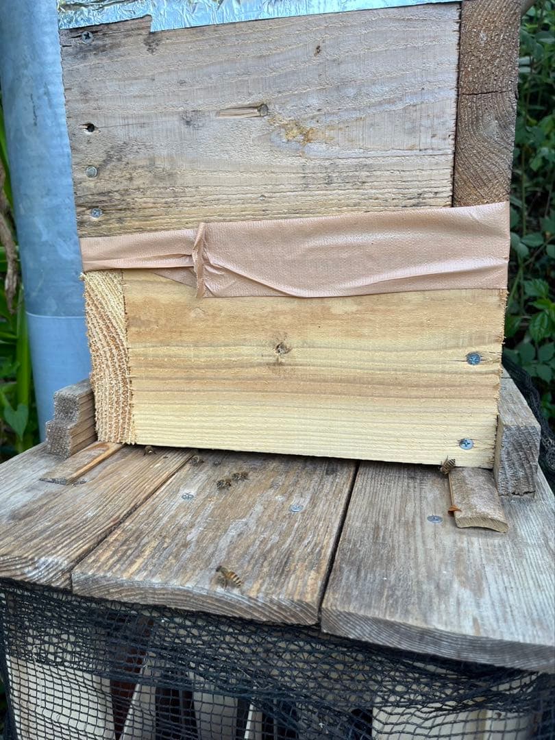 日本蜜蜂ハチミツ/百花蜜/1kg×2本/限定20kg【最終値下げ】