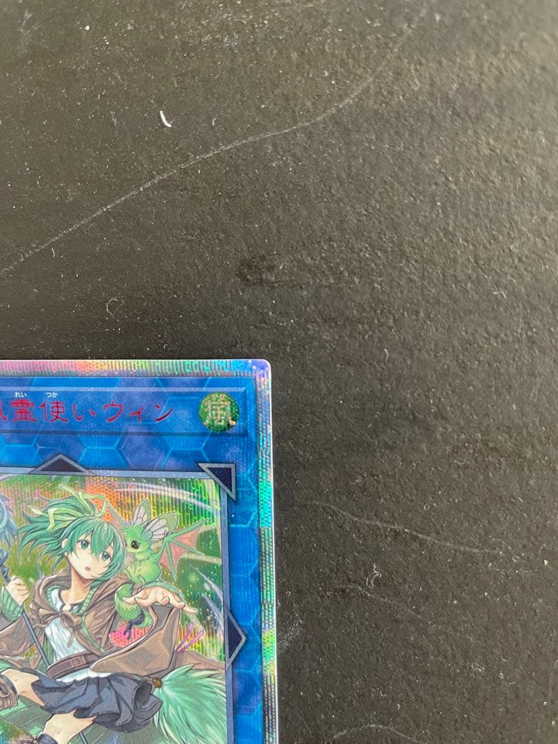 蒼翠の風霊使い　ウェン　20thシク