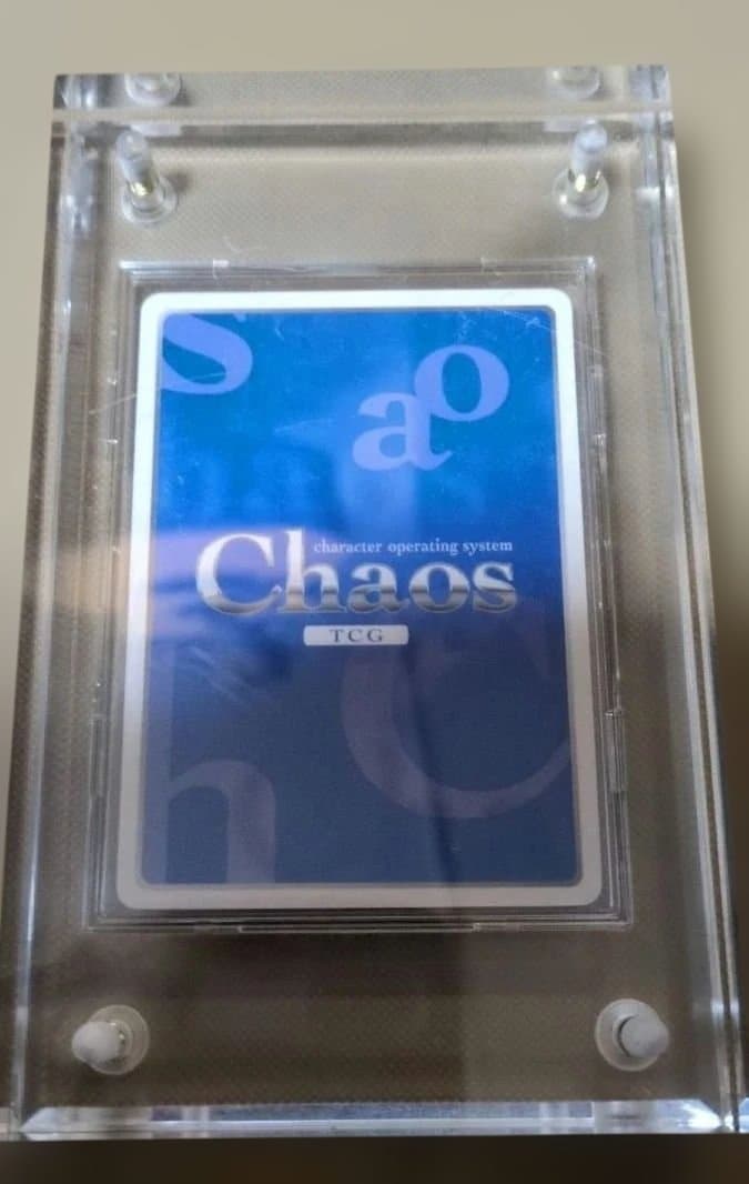 リオ・ロリンズ Chaos 純白の\"水着\" サイン入り