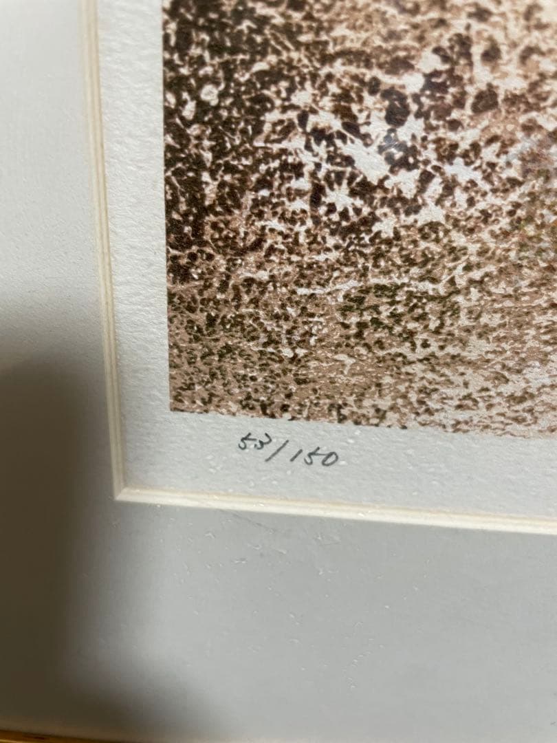 田村能里子「夢想う」　リトグラフ　本人直筆サインあり　EDナンバー:53/150