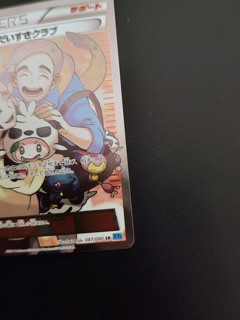 金*虎様 ポケモンだいすきクラブ SR XY2 ワイルドブレイズ 087/080