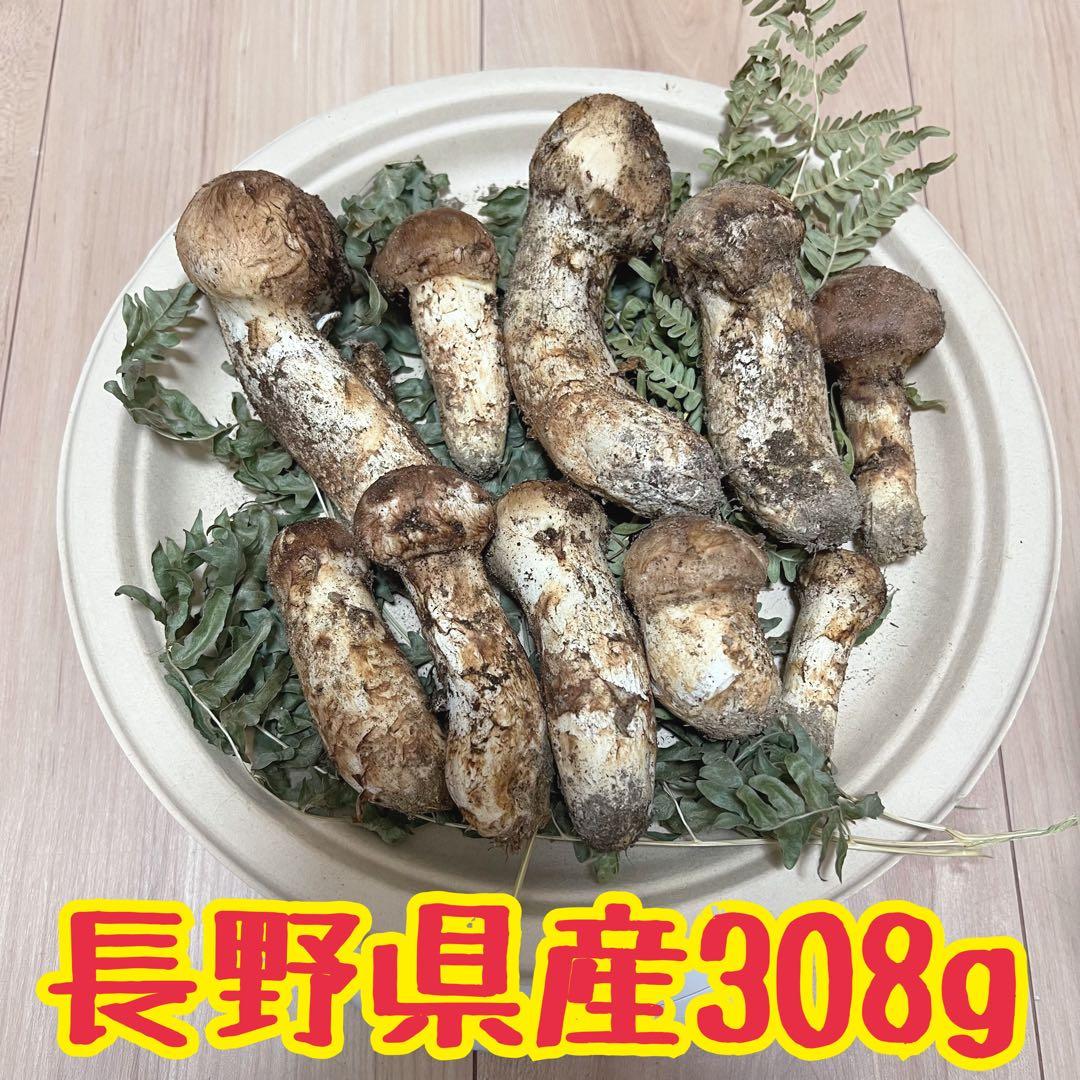 信州産　松茸　300g超え‼︎早い者勝ち！（訳あり含む）
