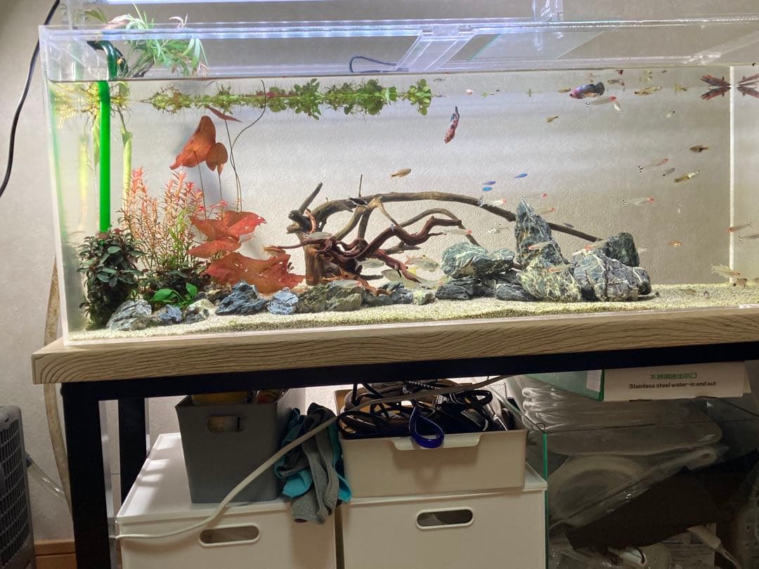 90センチアクリル水槽のみ 発送が来週の土曜日か日曜日になります。