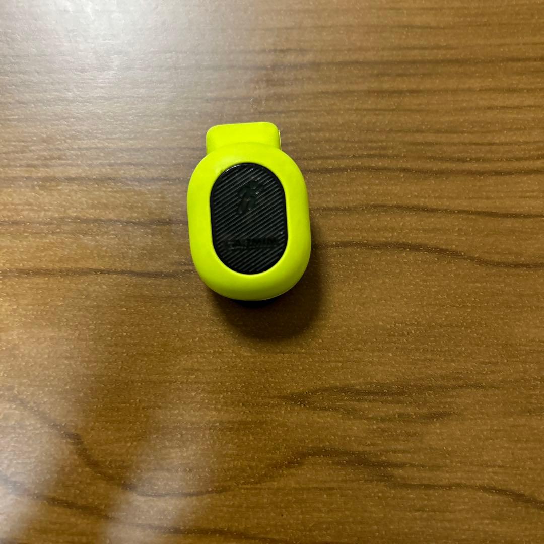 GARMIN245 ダイナミックスボッド付き