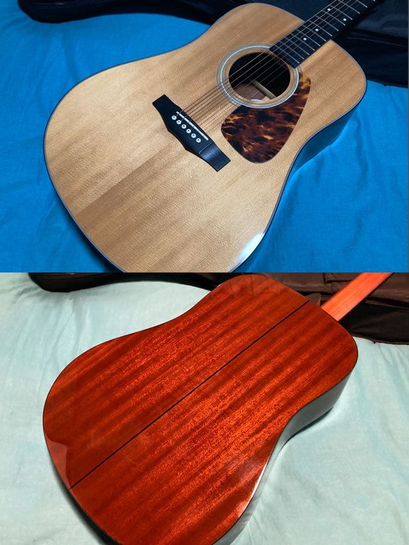 Morris M-351 NAT モーリスアコースティックギター