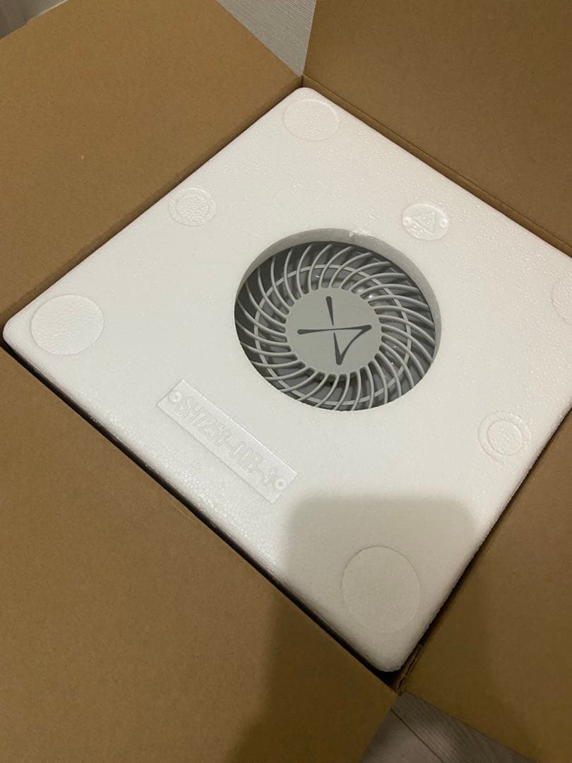 duux Dawn スチーム式加湿器