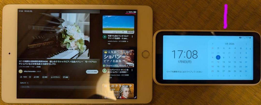 iPad mini 第5世代 64GB Wifiモデル(MUQX2J/A)