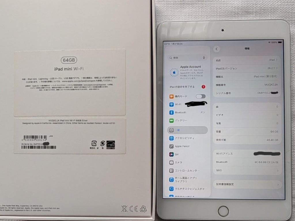 iPad mini 第5世代 64GB Wifiモデル(MUQX2J/A)