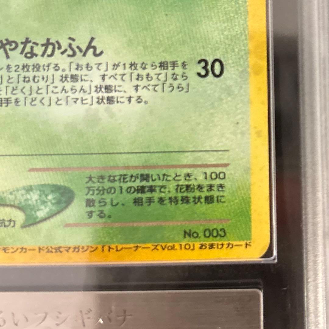 【ARS9】　わるいカメックス　わるいフシギバナ