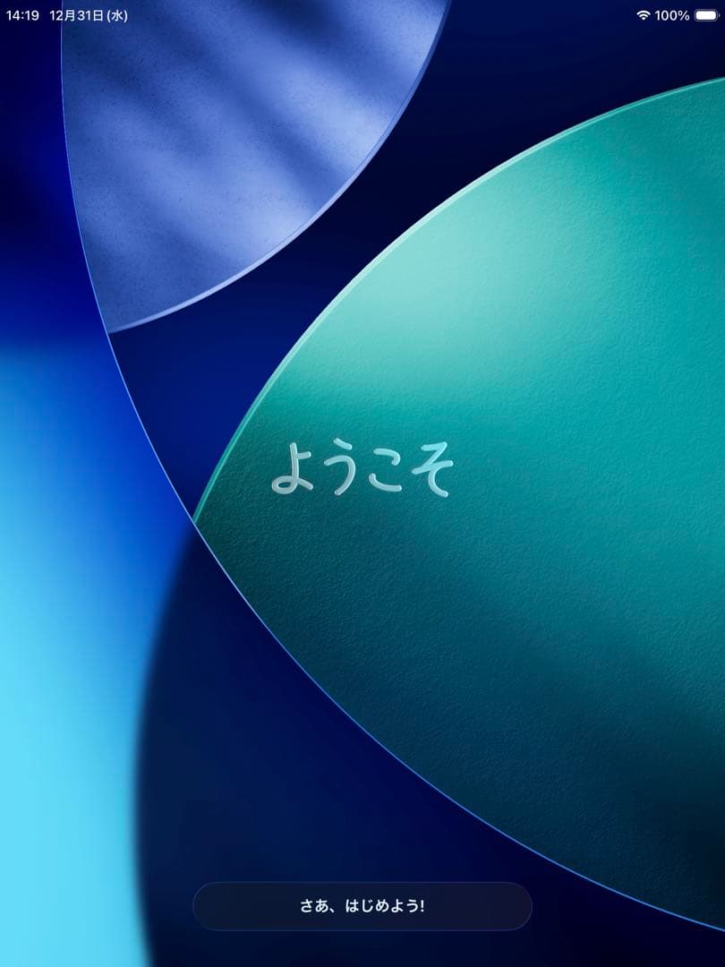 【美品】iPad mini（第5世代） 64GB Wi-Fiモデル