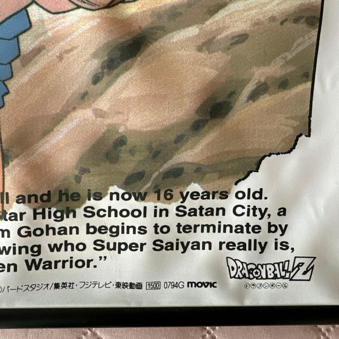 当時物ドラゴンボールZ タペストリー