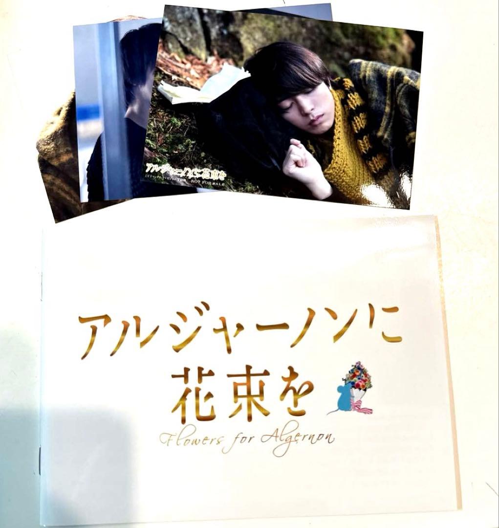 アルジャーノンに花束を Blu-ray BOX〈6枚組〉特典付き