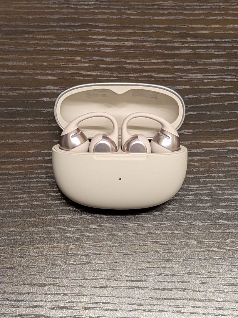 SHOKZ Open Dots One ショックス オープン イヤホン