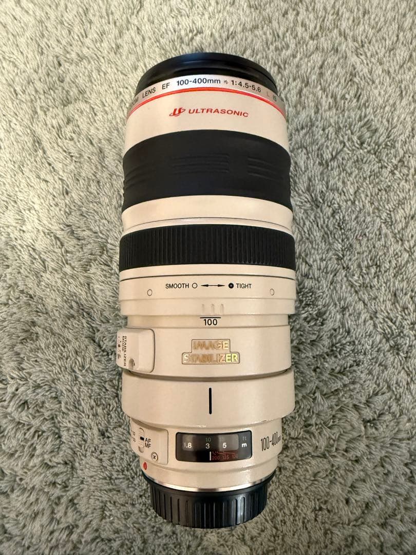 チ*中様 Canon EF 100-400mm f/4.5-5.6L IS US