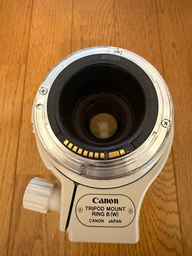 チ*中様 Canon EF 100-400mm f/4.5-5.6L IS US