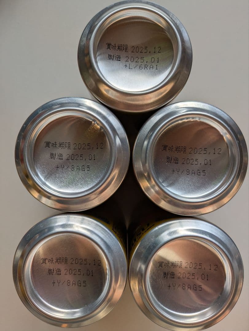 【賞味期限間近2025.12あり】エビスビール350ml 500ml各24本