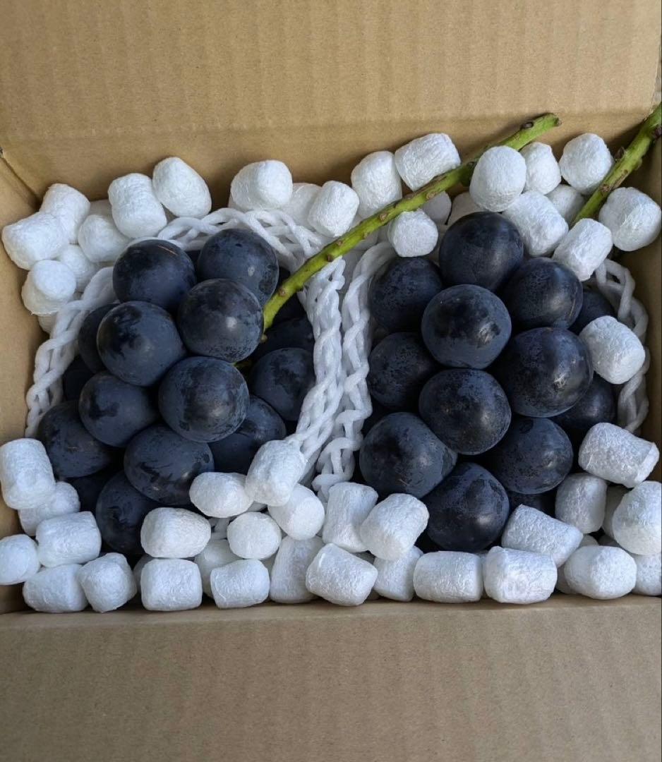 レモンナガノパープル2房×2箱