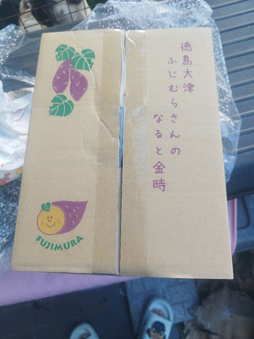 なると金時 ふじむらさんのさつまいも