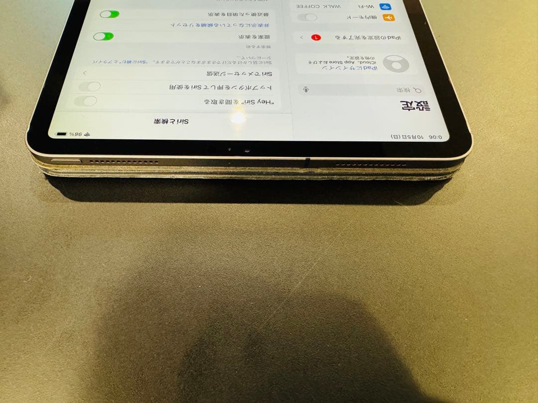 iPad Pro 11インチ 第1世代 Cellular 258GB