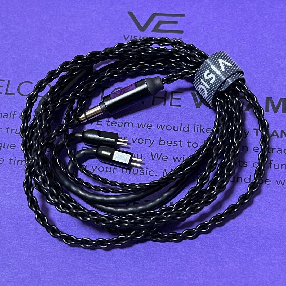 【美品】 VISION EARS VE8 8th (Universal Fit)