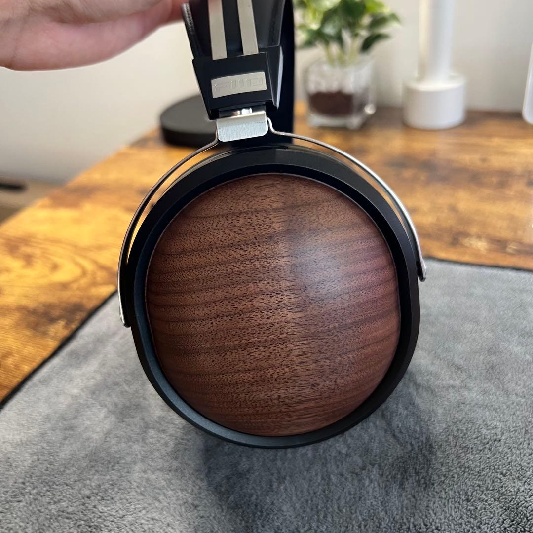 fiio FT1＆EarProfit PERFORMセット