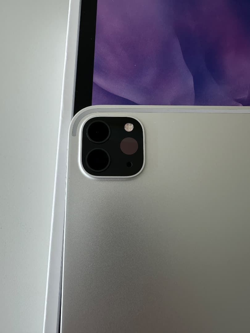 【完動品】iPad Pro11 2世代　iOS18.5　128GB