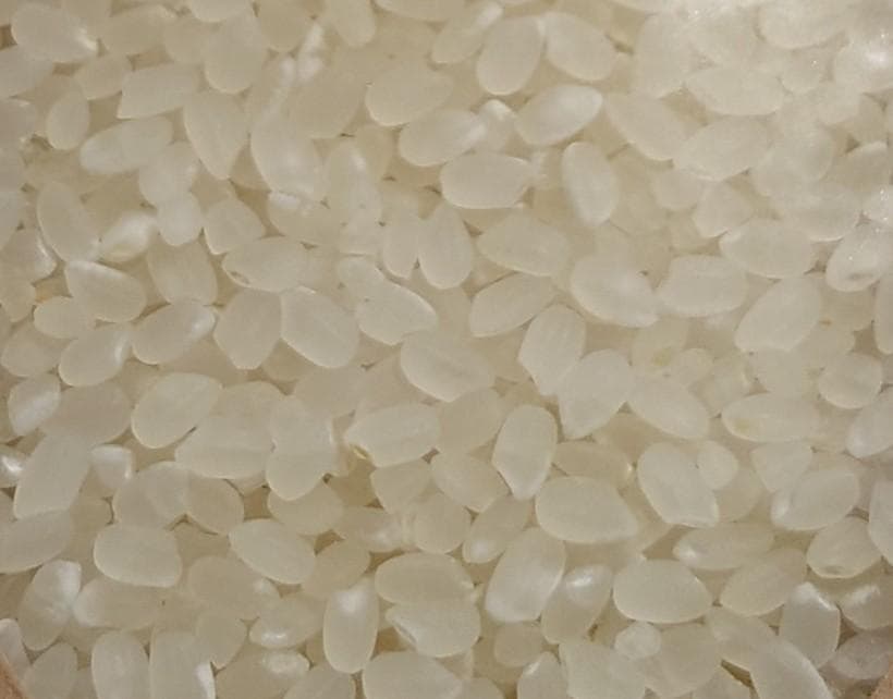 u*7様 甲賀のおじいちゃんのおいしいお米　みずかがみ　精米済約9㎏　リピーター