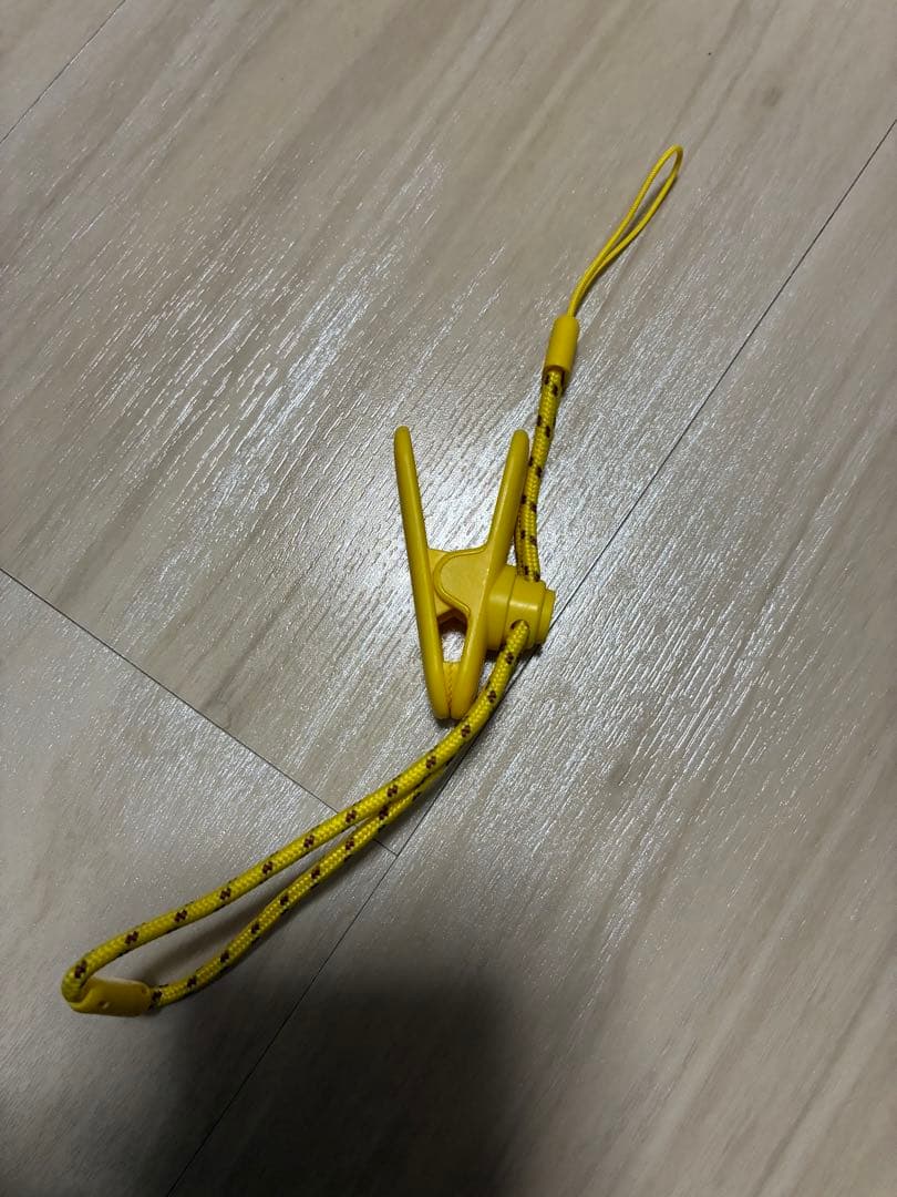 【美品】Pokémon GO Plus +（ポケモンGOプラスプラス）動作確認済