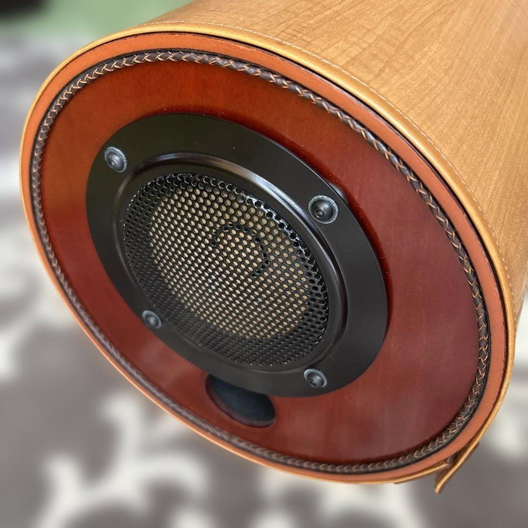 エムズシステム スピーカー 波動スピーカー MS1001-M